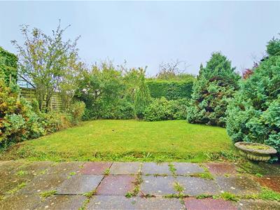 Outside - Rear